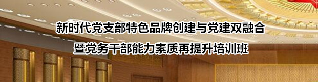 新时代党支部特色品牌创建与党建双融合暨党务干部能力素质再提升培训班